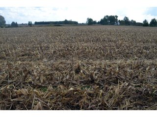 Property photo 66 - EHLE FARMS AUCTION - 118+/- ACRES IN 9 TRACTS IN ALLEN COUNTY, INDIANA